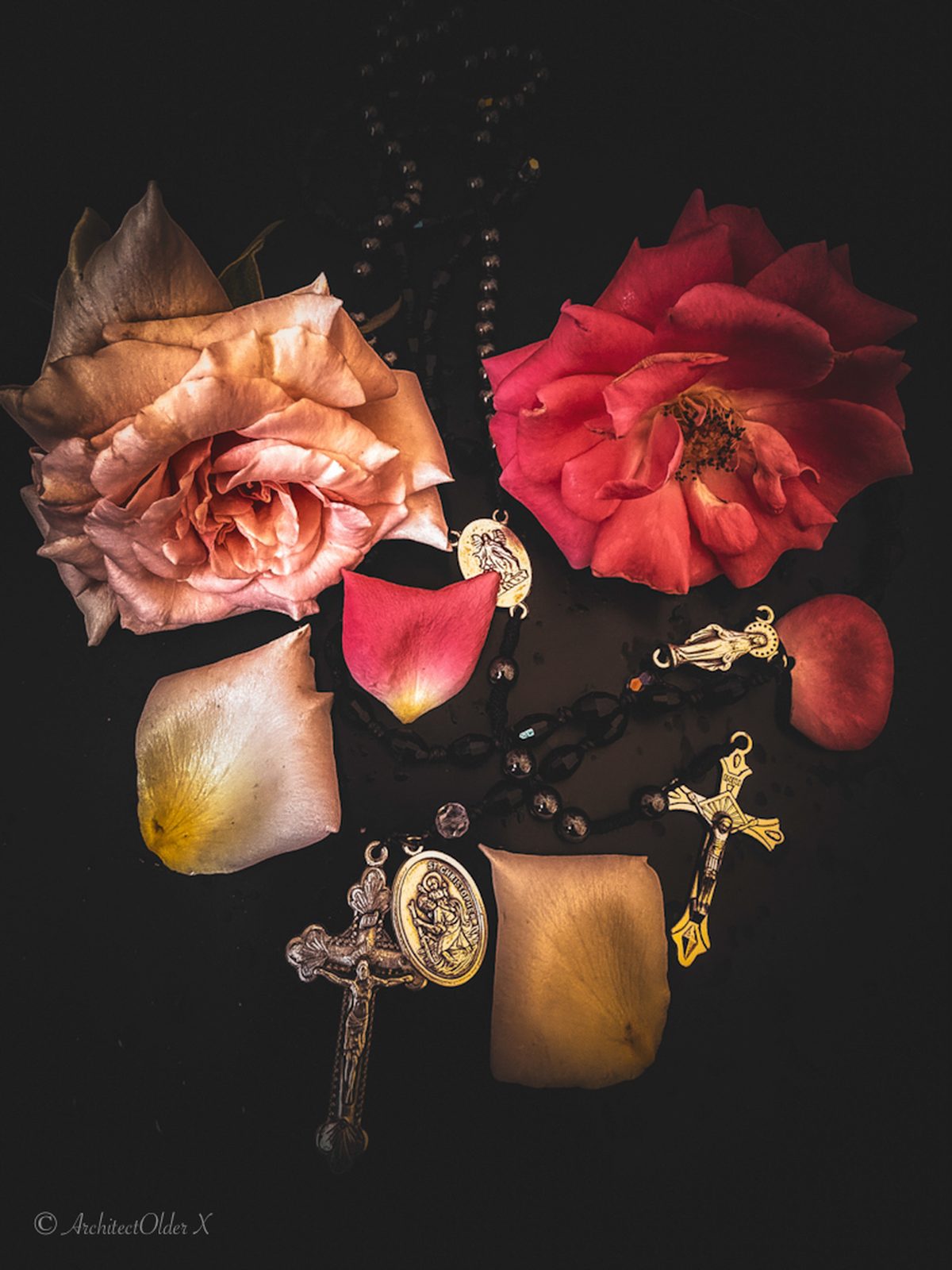 JLAO — Jael rosaries among roses, photographed by Architectolder